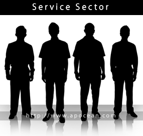 Service Sector